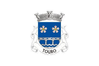 Bandera Touro (Vila Nova de Paiva)