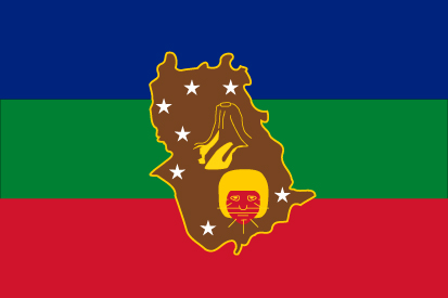 Bandera Estado de Amazonas