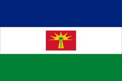 Bandera Estado de Barinas