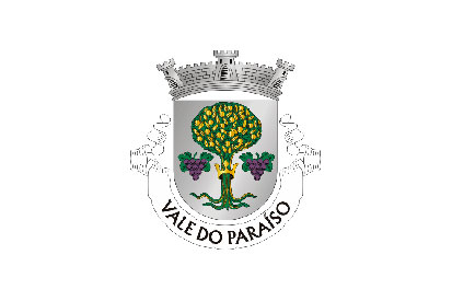 Bandera Vale do Paraíso