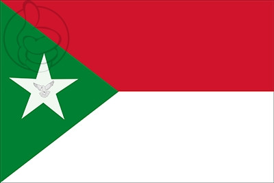 Bandera Estado de Trujillo
