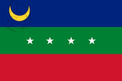 Bandera Cárdenas