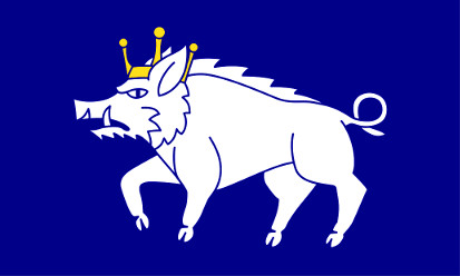 Bandera Kingswinford, Staffordshire