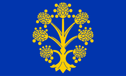 Bandera Appleby-in-Westmorland, Westmorland