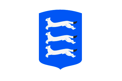 Bandera Ostrobotnia del sur
