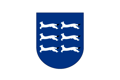Bandera Ostrobotnia del norte
