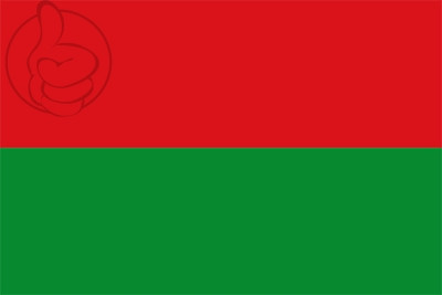 Bandera Departamento de Arauca