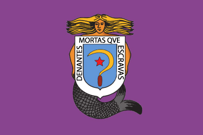 Bandera Castelao feminista