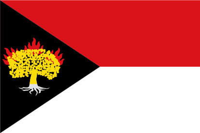 Bandera Carbonero de Ahusín