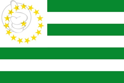 Bandera Departamento de Caquetá