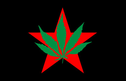 Bandera Partido Internacional de la Juventud