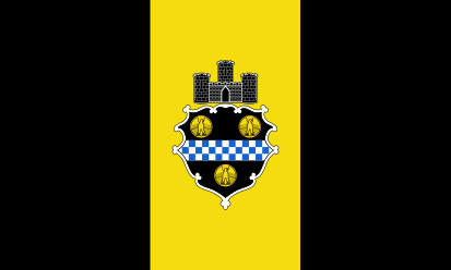 Bandera Pittsburgh
