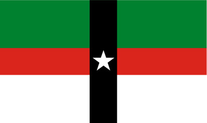 Bandera Denison