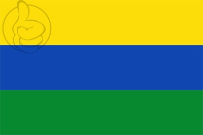 Bandera Departamento de Guainía