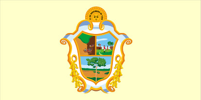Bandera Manaus