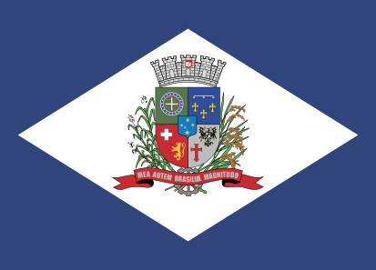 Bandera Joinville