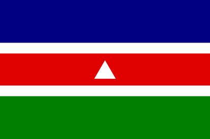 Bandera Juiz de Fora