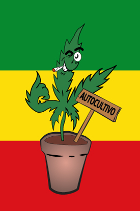 Bandera Rasta autocultivo 2