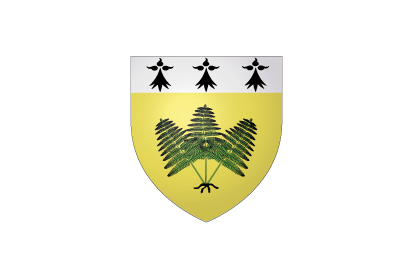 Bandera Fougères