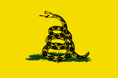 Bandera Gadsden personalizada