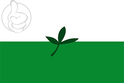 Bandera Departamento de Vaupés
