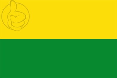 Bandera Departamento de Vichada