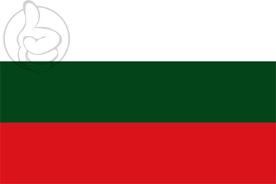 Bandera Arauca
