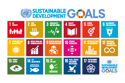 Bandera Sustainable Development Goals UN 