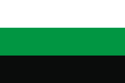 Bandera Neutrois