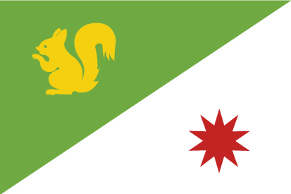 Bandera Somio