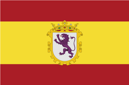 Bandera España y León