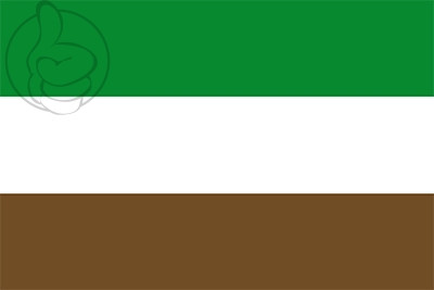 Bandera Arauquita