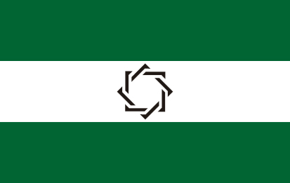 Bandera Somos andaluces estrella negra