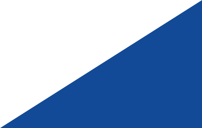 Bandera Pontevedra Oficial S/E