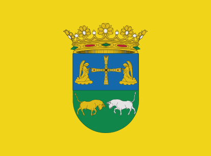 Bandera Yernes y Tameza amarillo
