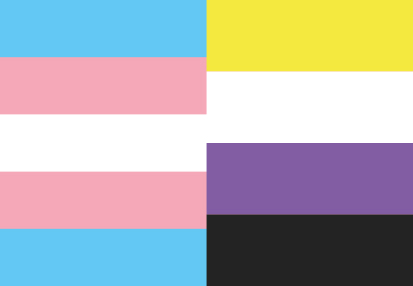 Bandera Trans no binaria 