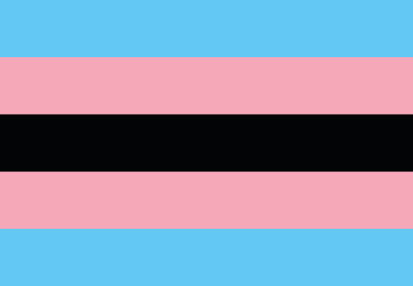Bandera Orgullo trans negra 