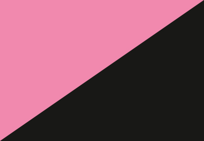 Bandera Queer Anarquismo