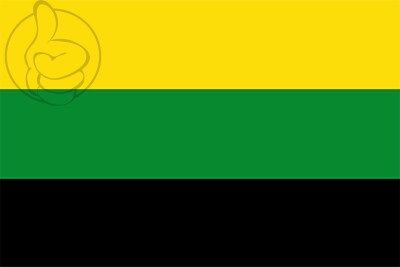 Bandera Remedios