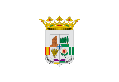 Bandera Escudo Cijuela