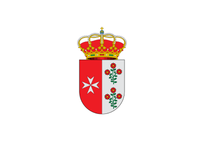 Bandera Escudo Tocina