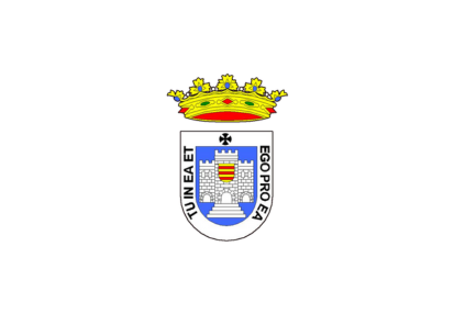 Bandera Escudo Montemayor 