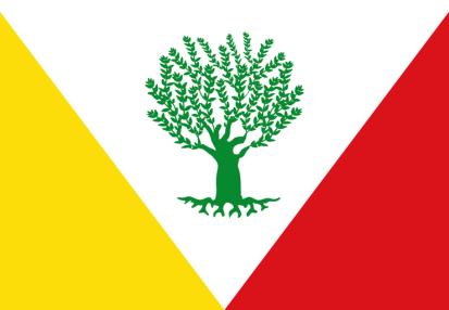 Bandera Montejícar