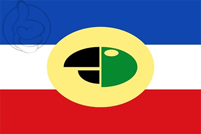 Bandera Carepa