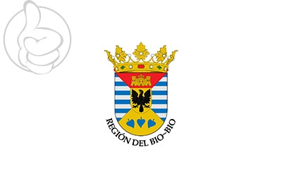 Bandera Biobío