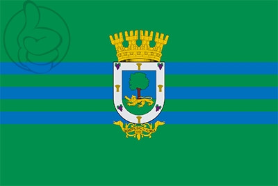 Bandera La Florida