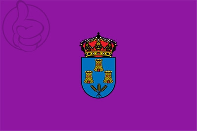 Bandera Torres de la Alameda (no oficial)