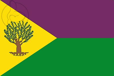 Bandera Recas