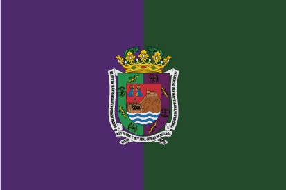 Bandera Málaga con Escudo