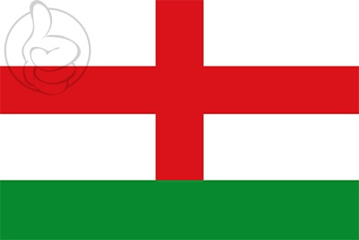 Bandera Marchagaz